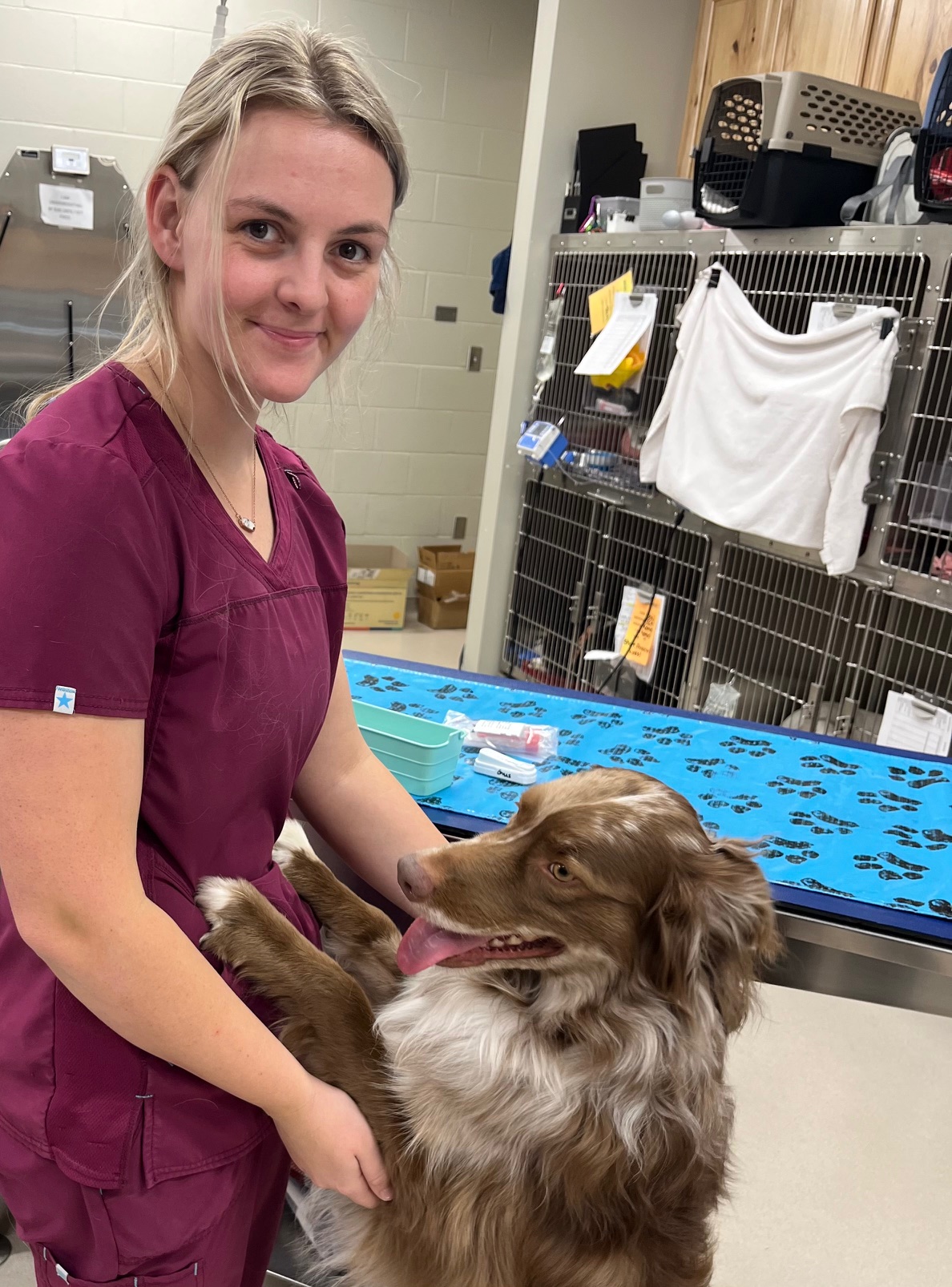 a female vet touching a dog