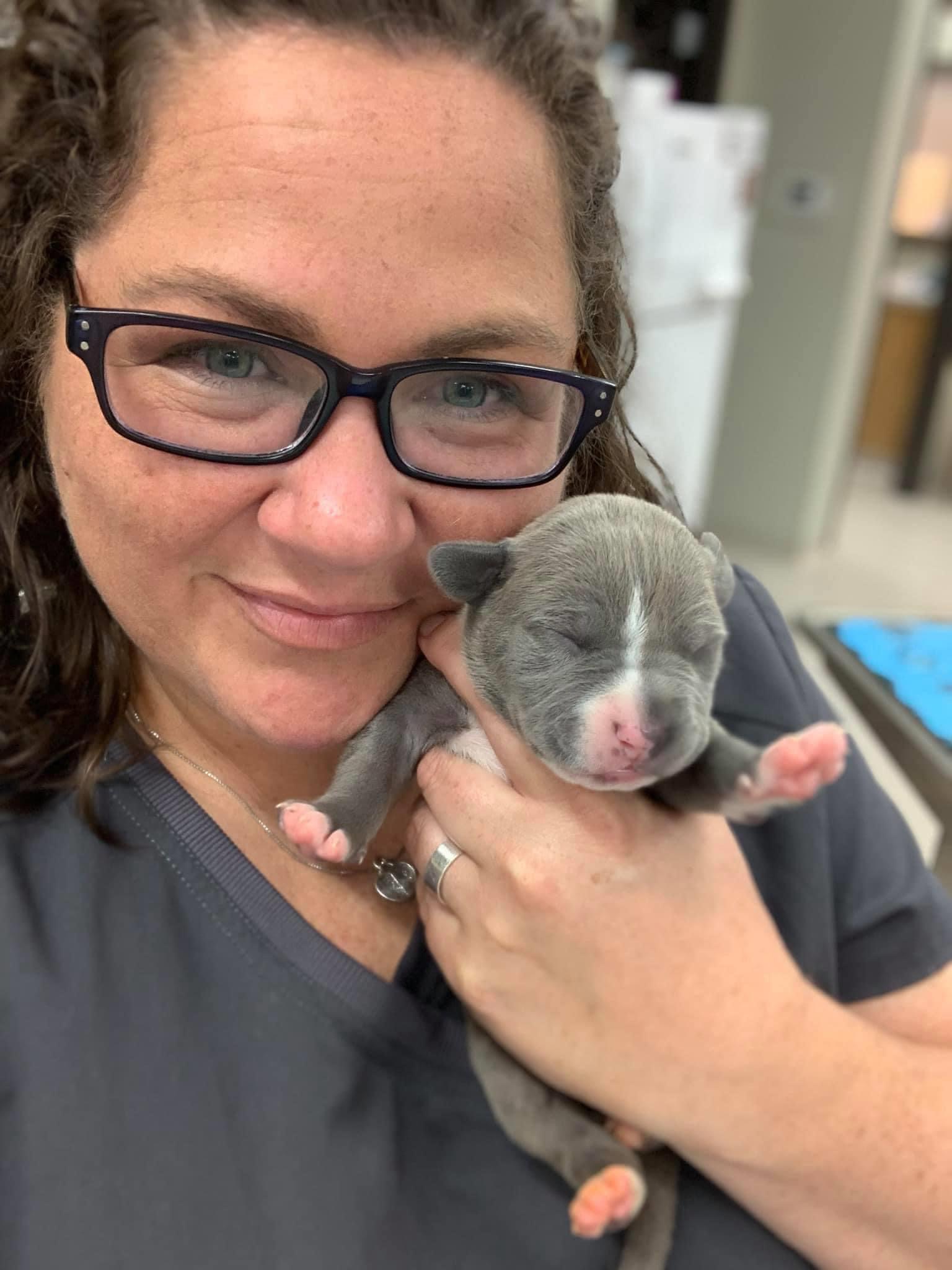 a female vet holding a puppy