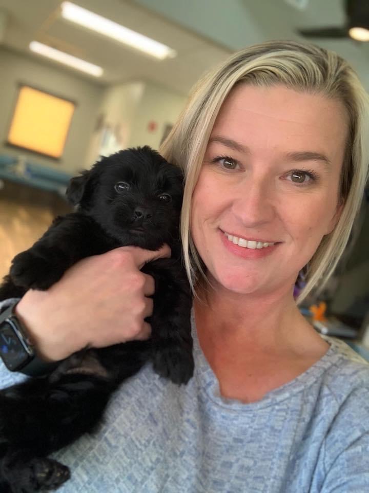 a vet holding a black puppy