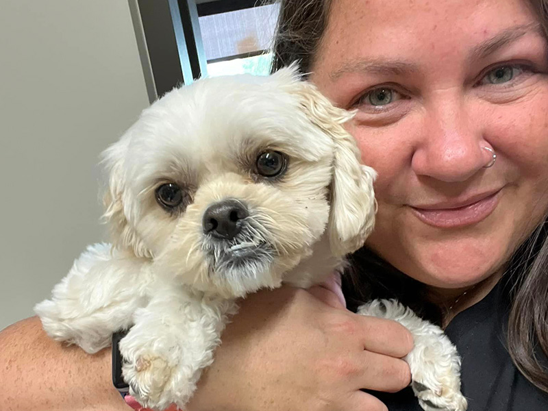 a vet holding a puppy