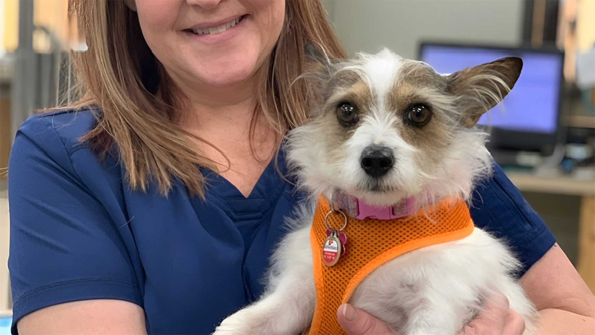 Pet Grooming In Owasso, OK 74055 Family Animal Medicine